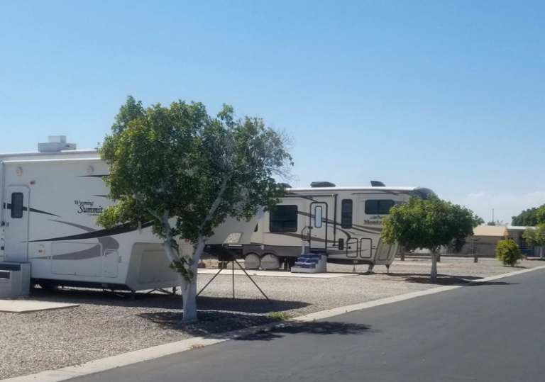 Best RV Park in Yuma, Arizona Mountain Cactus Ranch