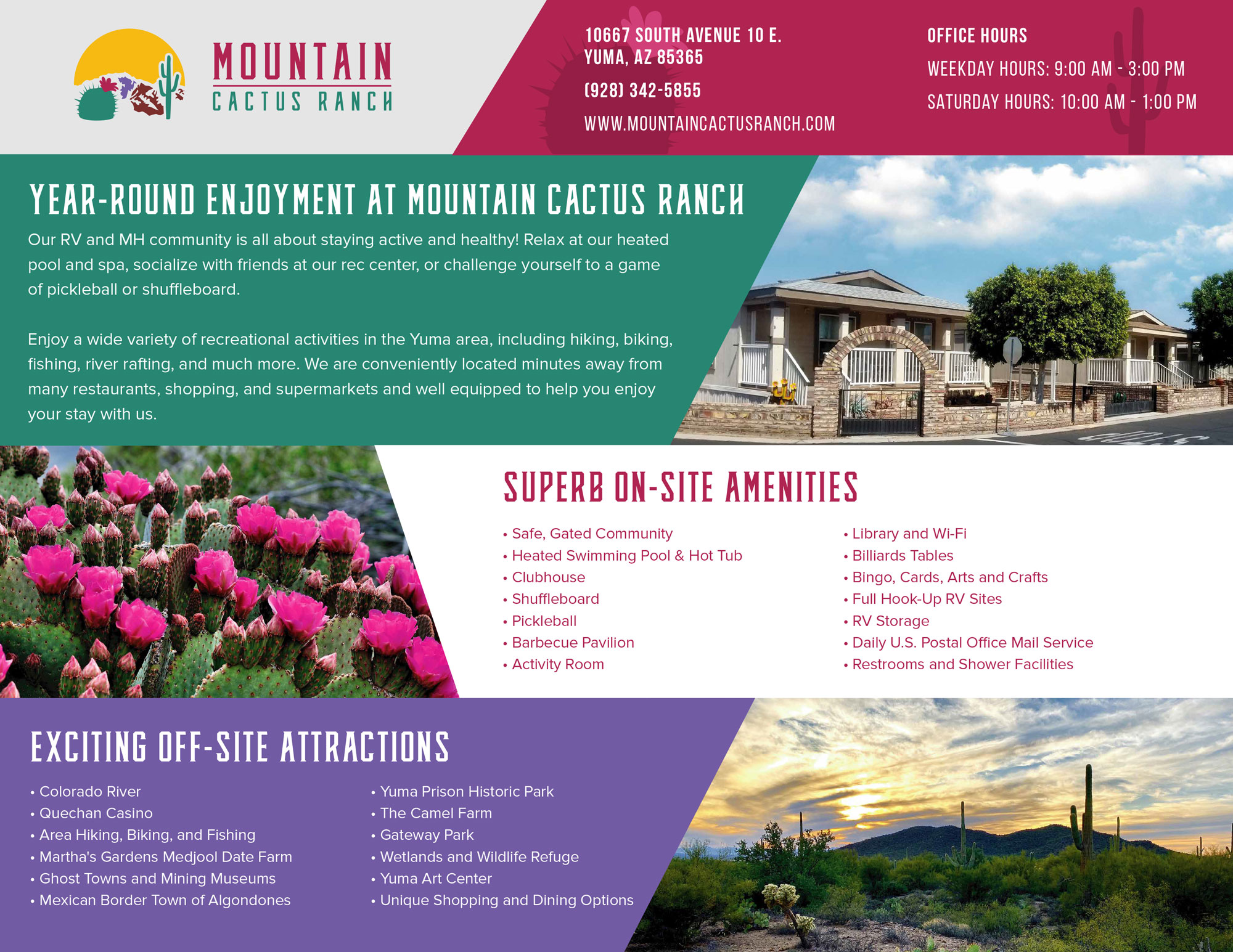 Cactus Mountain Park Back